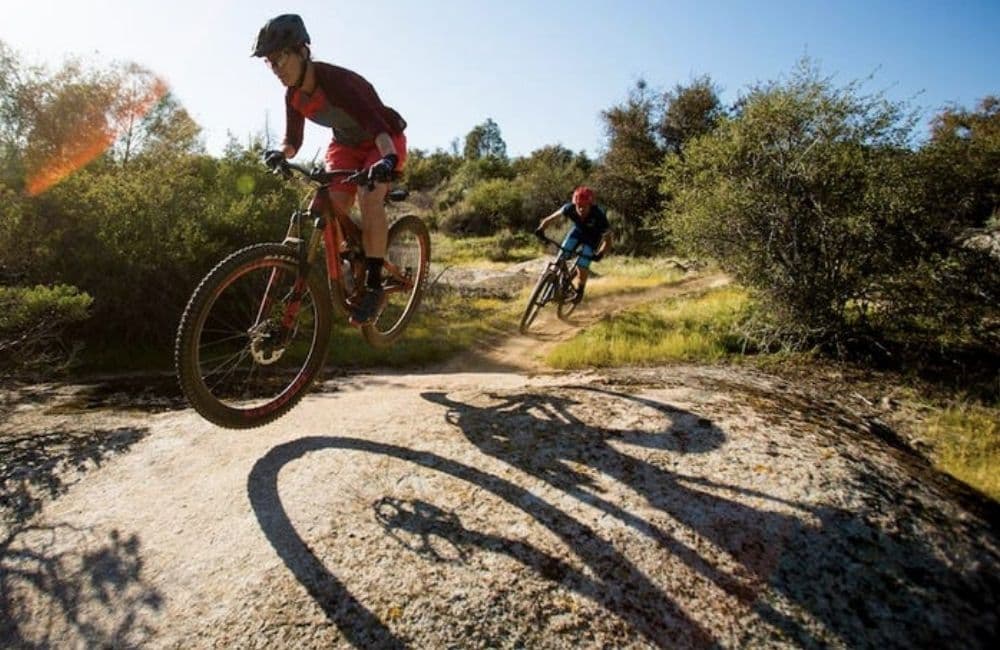 The 8 Best Road Bikes Under $500